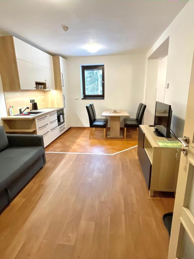 Apartment U Krize Harrachov