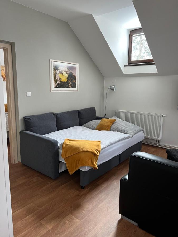 Apartment U Krize Harrachov
